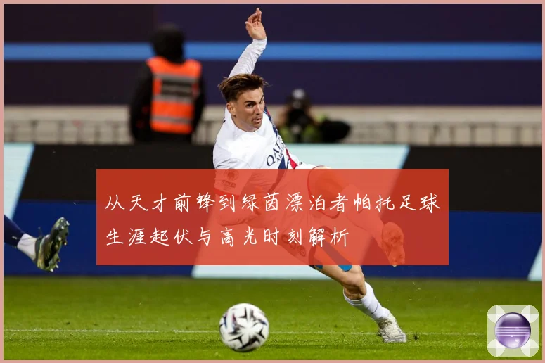 从天才前锋到绿茵漂泊者帕托足球生涯起伏与高光时刻解析